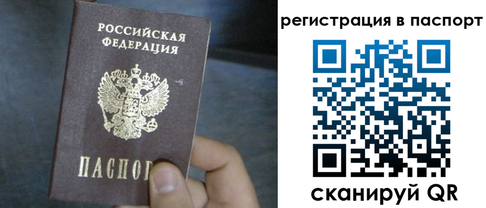 прописка 2025 в Острове
